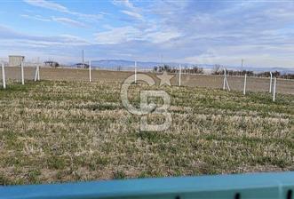 GÖLBAŞI HAYMANA YOLU ÜZERİNDE SATILIK HOBİ BAHÇESİ 400m2 - 1 - 317110