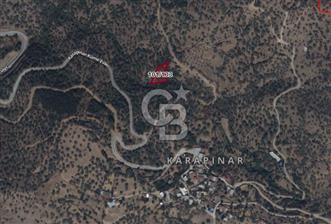 BAYINDIR KARAPINAR KÖYÜNDE, KÖYE YAKIN, SATILIK ZEYTİNLİK - 1 - 317118