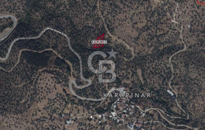 BAYINDIR KARAPINAR KÖYÜNDE, KÖYE YAKIN, SATILIK ZEYTİNLİK