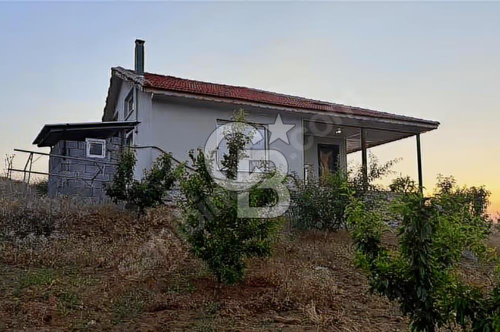 Manisa Kulada Sertifikalı Badem Çiftliği