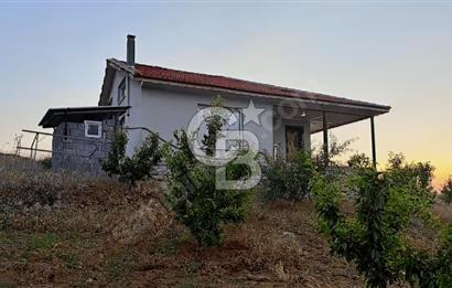 Manisa Kulada Sertifikalı Badem Çiftliği