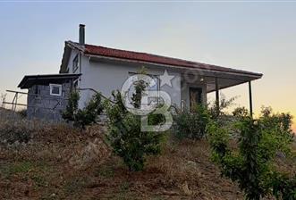 Manisa Kulada Sertifikalı Badem Çiftliği - 1 - 317117