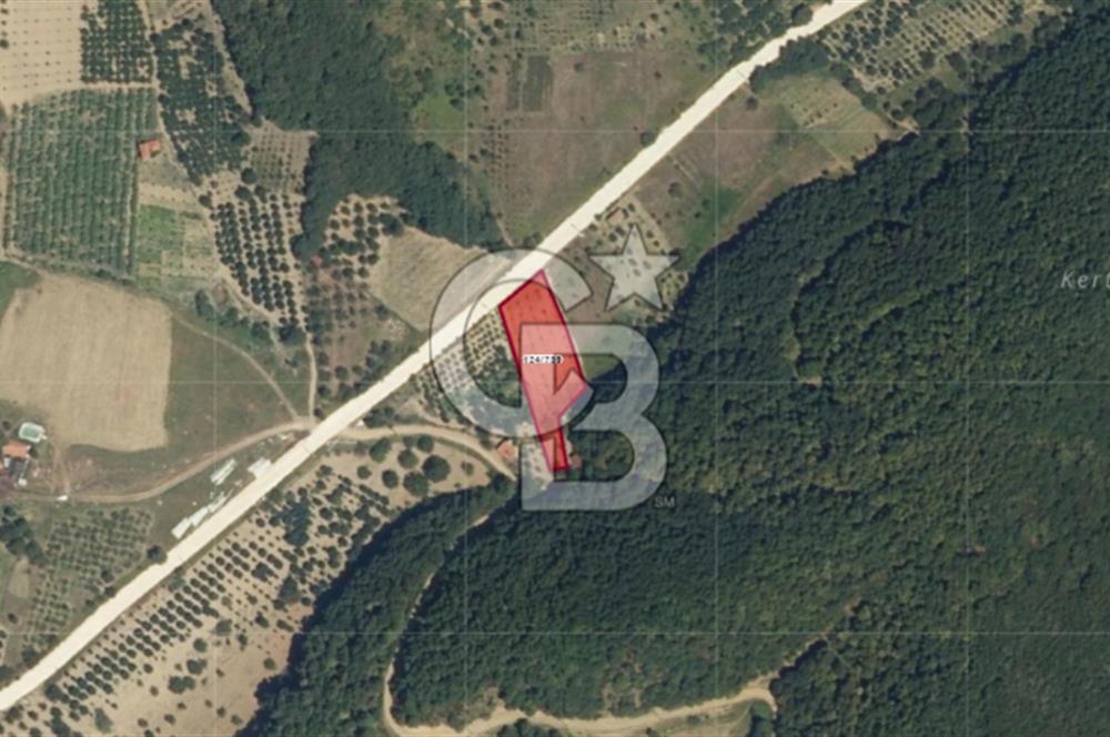 Akçatta, Yola Cepheli ve Suyu Bulunan 1750 m2 Satılık Tarla!