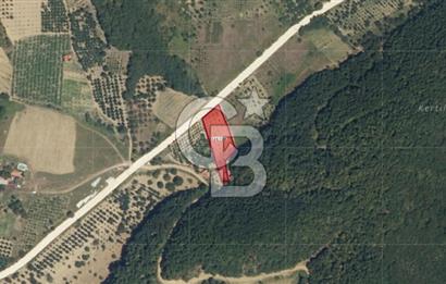 Akçatta, Yola Cepheli ve Suyu Bulunan 1750 m2 Satılık Tarla!