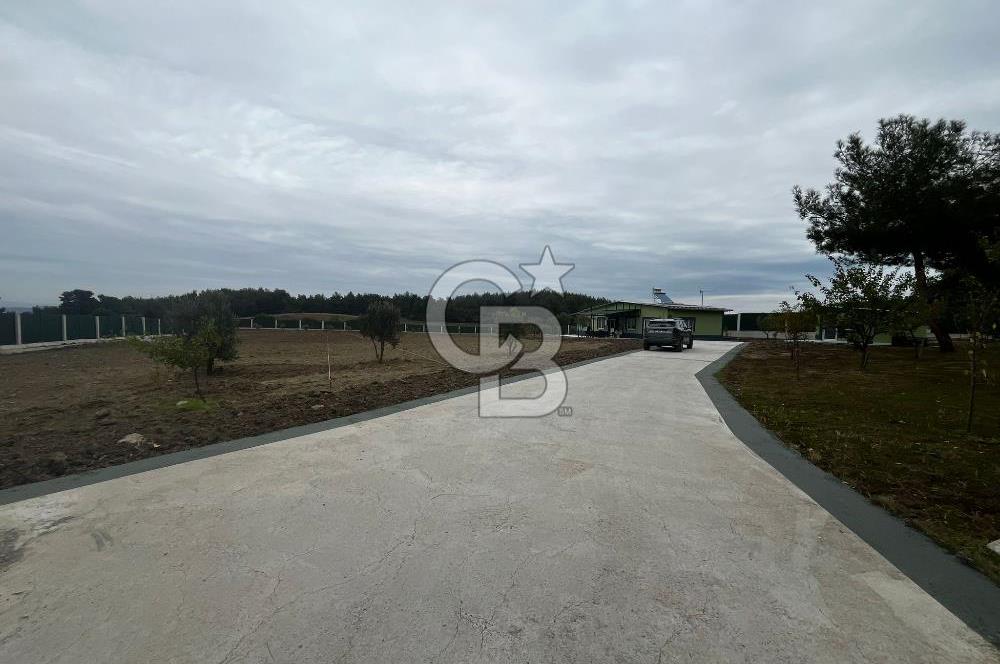 ÇANAKKALE MERKEZ ÇINARLI PRESTİJ 301 M2 TARLA