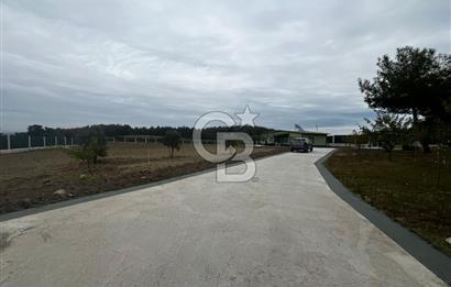 ÇANAKKALE MERKEZ ÇINARLI PRESTİJ 301 M2 TARLA