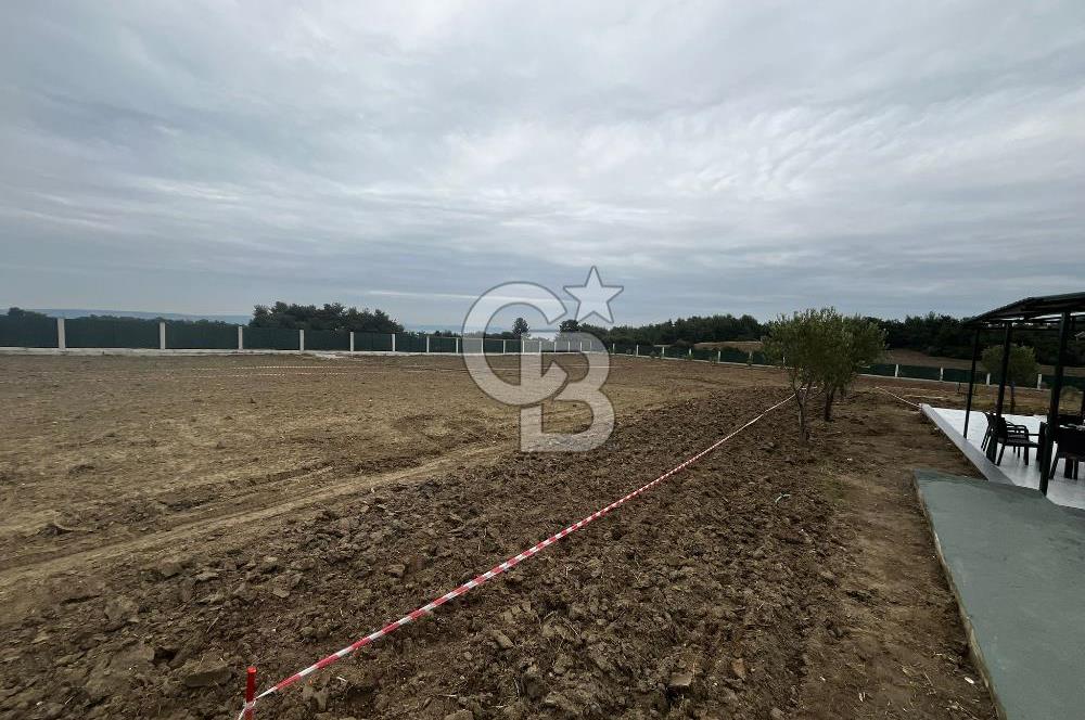 ÇANAKKALE MERKEZ ÇINARLI PRESTİJ 301 M2 TARLA