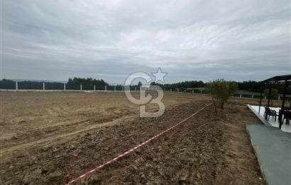 ÇANAKKALE MERKEZ ÇINARLI PRESTİJ 301 M2 TARLA