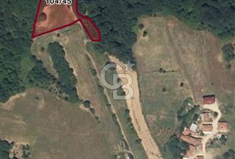 BURSA İNEGÖL HAMİTABAT'TA SATILIK 6 DÖNÜM ARSA - 9 - 317074