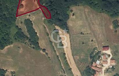 BURSA İNEGÖL HAMİTABAT'TA SATILIK 6 DÖNÜM ARSA