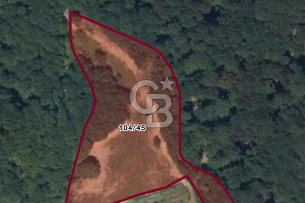 BURSA İNEGÖL HAMİTABAT'TA SATILIK 6 DÖNÜM ARSA