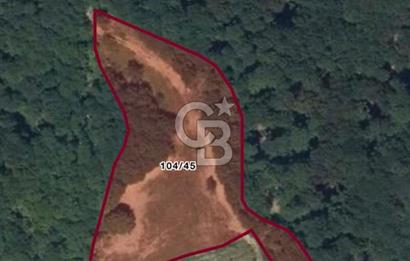 BURSA İNEGÖL HAMİTABAT'TA SATILIK 6 DÖNÜM ARSA