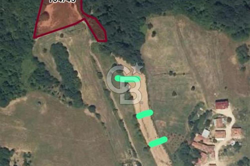 BURSA İNEGÖL HAMİTABAT'TA SATILIK 6 DÖNÜM ARSA