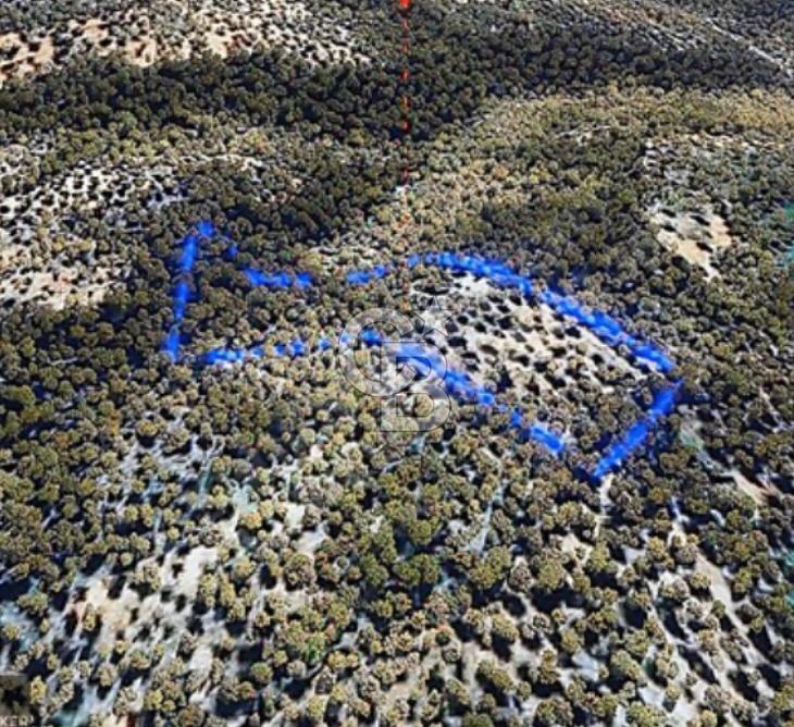 CB Odak'tan Bergama Zeytindağ'da satılık zeytinlik tarla 