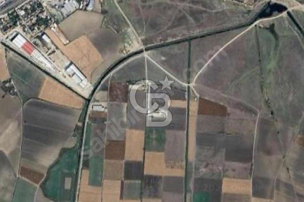 KARACABEY KARASU MH. 3100 M2 KÖY'E 179 M MESAFEDE SATILIK TARLA