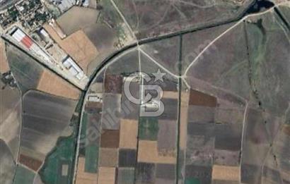 KARACABEY KARASU MH. 3100 M2 KÖY'E 179 M MESAFEDE SATILIK TARLA