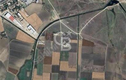KARACABEY KARASU MH. 3100 M2 KÖY'E 179 M MESAFEDE SATILIK TARLA