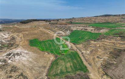 Çanakkale Merkez Kızılkeçili 5210 m2 Deniz Manzaralı Yol Mevcut