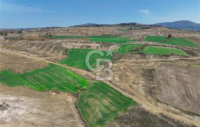 Çanakkale Merkez Kızılkeçili 5210 m2 Deniz Manzaralı Yol Mevcut