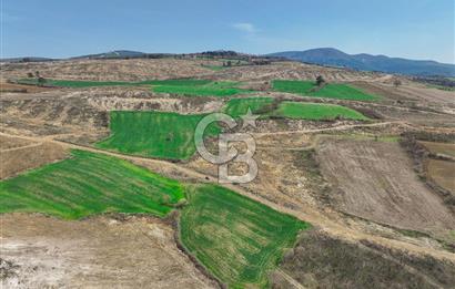 Çanakkale Merkez Kızılkeçili 5210 m2 Deniz Manzaralı Yol Mevcut