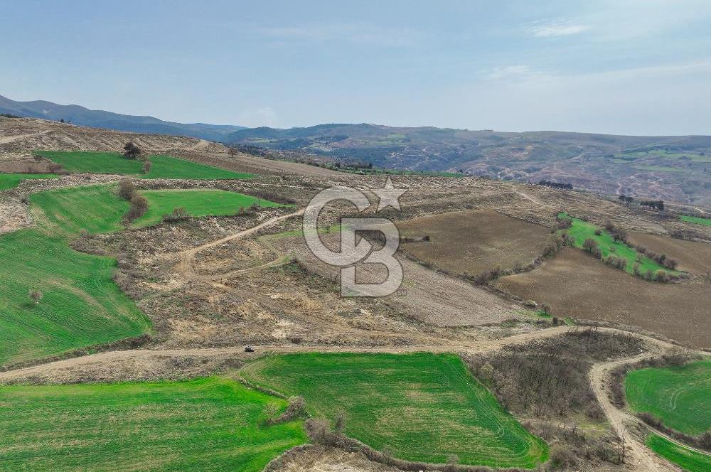 Çanakkale Merkez Kızılkeçili 5210 m2 Deniz Manzaralı Yol Mevcut