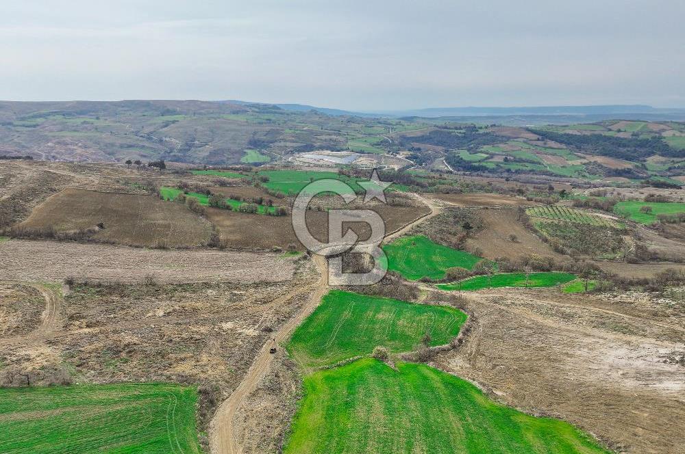 Çanakkale Merkez Kızılkeçili 5210 m2 Deniz Manzaralı Yol Mevcut