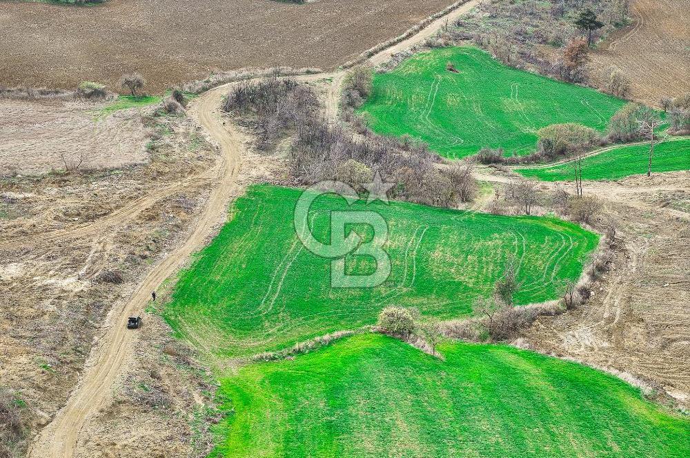 Çanakkale Merkez Kızılkeçili 5210 m2 Deniz Manzaralı Yol Mevcut