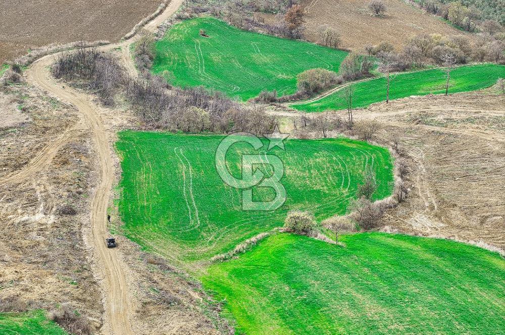 Çanakkale Merkez Kızılkeçili 5210 m2 Deniz Manzaralı Yol Mevcut