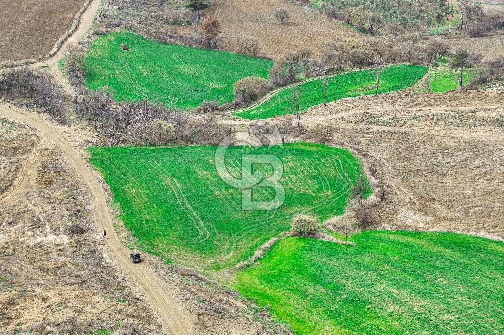 Çanakkale Merkez Kızılkeçili 5210 m2 Deniz Manzaralı Yol Mevcut