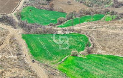 Çanakkale Merkez Kızılkeçili 5210 m2 Deniz Manzaralı Yol Mevcut