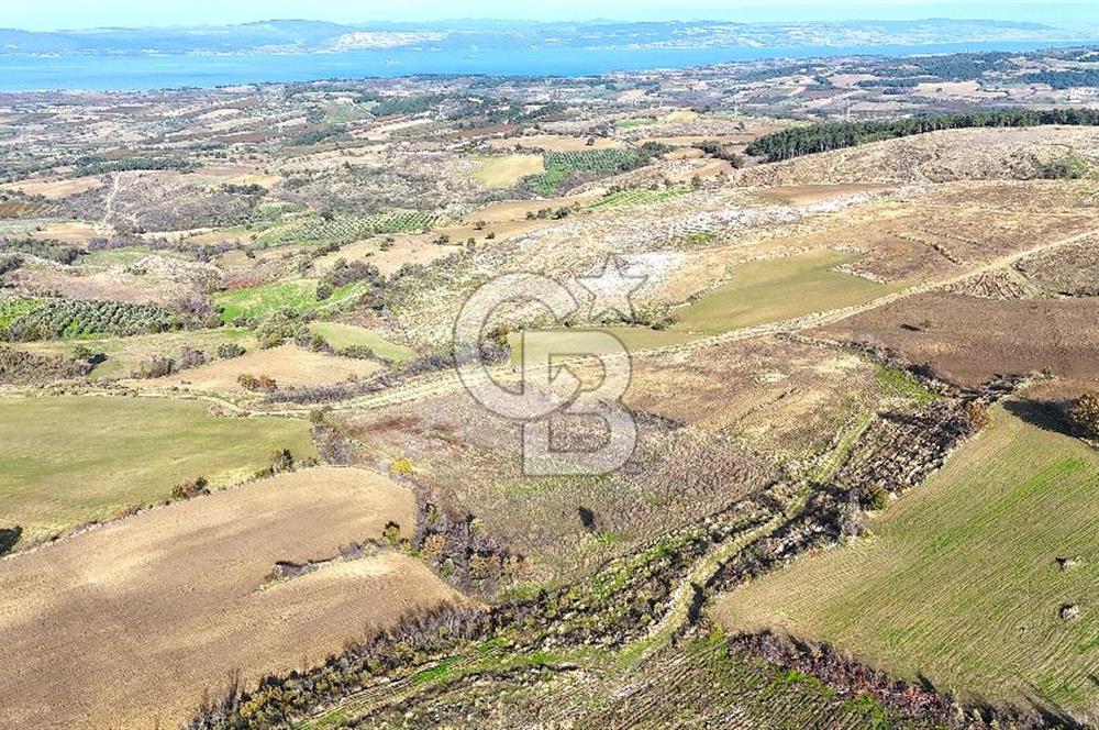 Çanakkale Merkez Kızılkeçilide Boğaz ve Deniz Manzaralı Tarla
