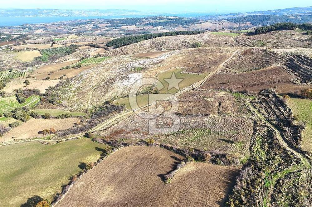 Çanakkale Merkez Kızılkeçilide Boğaz ve Deniz Manzaralı Tarla