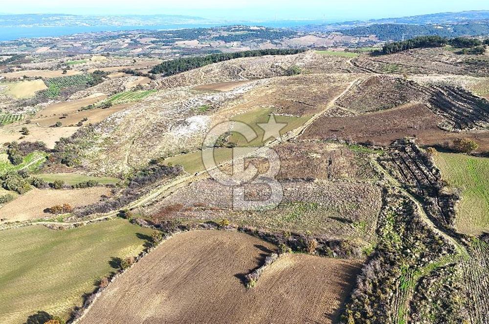 Çanakkale Merkez Kızılkeçilide Boğaz ve Deniz Manzaralı Tarla