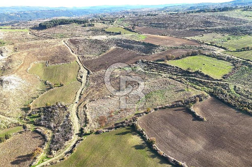 Çanakkale Merkez Kızılkeçilide Boğaz ve Deniz Manzaralı Tarla