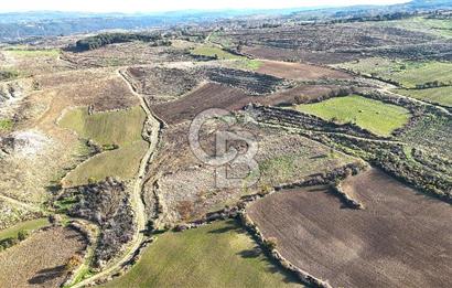 Çanakkale Merkez Kızılkeçilide Boğaz ve Deniz Manzaralı Tarla