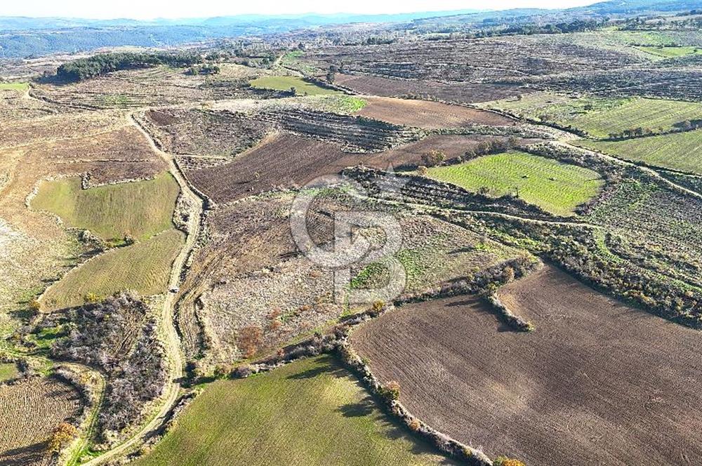 Çanakkale Merkez Kızılkeçilide Boğaz ve Deniz Manzaralı Tarla