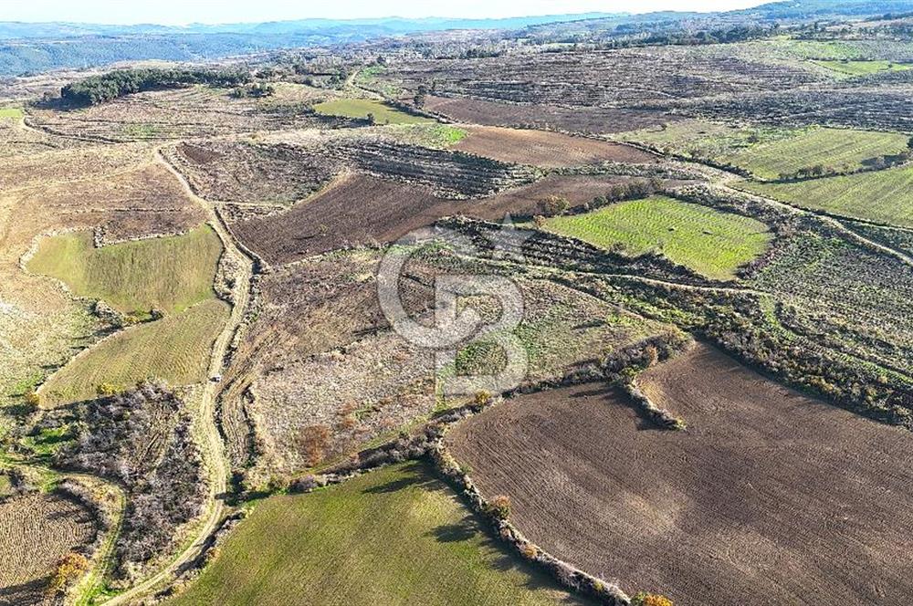 Çanakkale Merkez Kızılkeçilide Boğaz ve Deniz Manzaralı Tarla