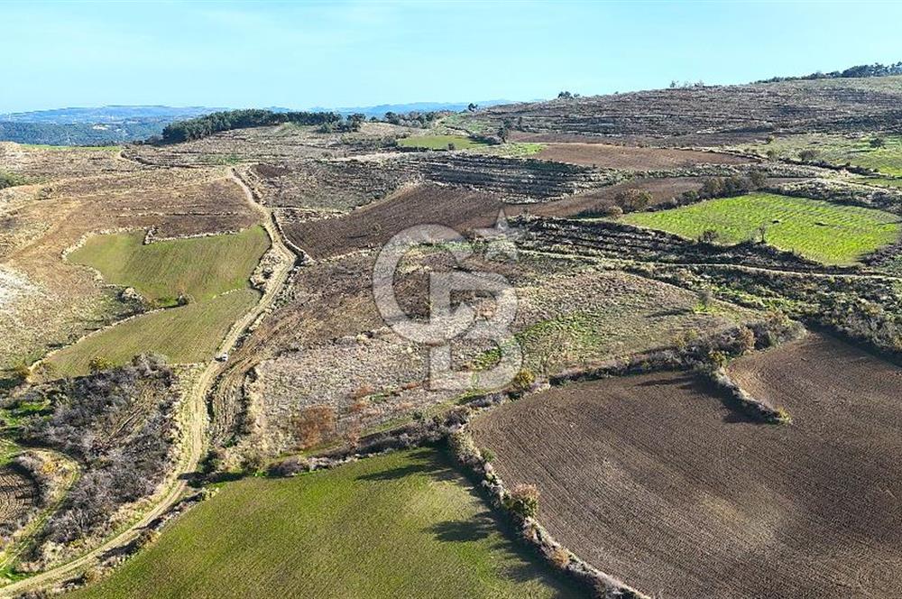 Çanakkale Merkez Kızılkeçilide Boğaz ve Deniz Manzaralı Tarla