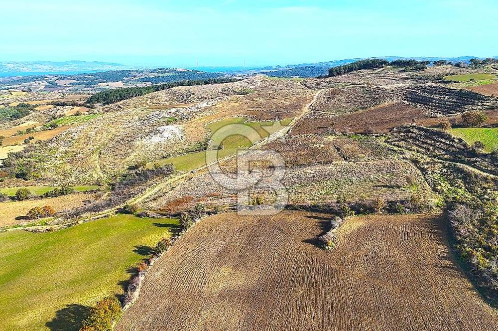 Çanakkale Merkez Kızılkeçilide Boğaz ve Deniz Manzaralı Tarla
