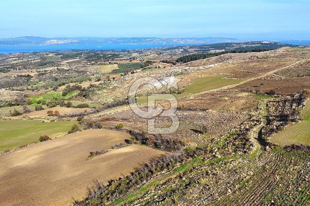 Çanakkale Merkez Kızılkeçilide Boğaz ve Deniz Manzaralı Tarla