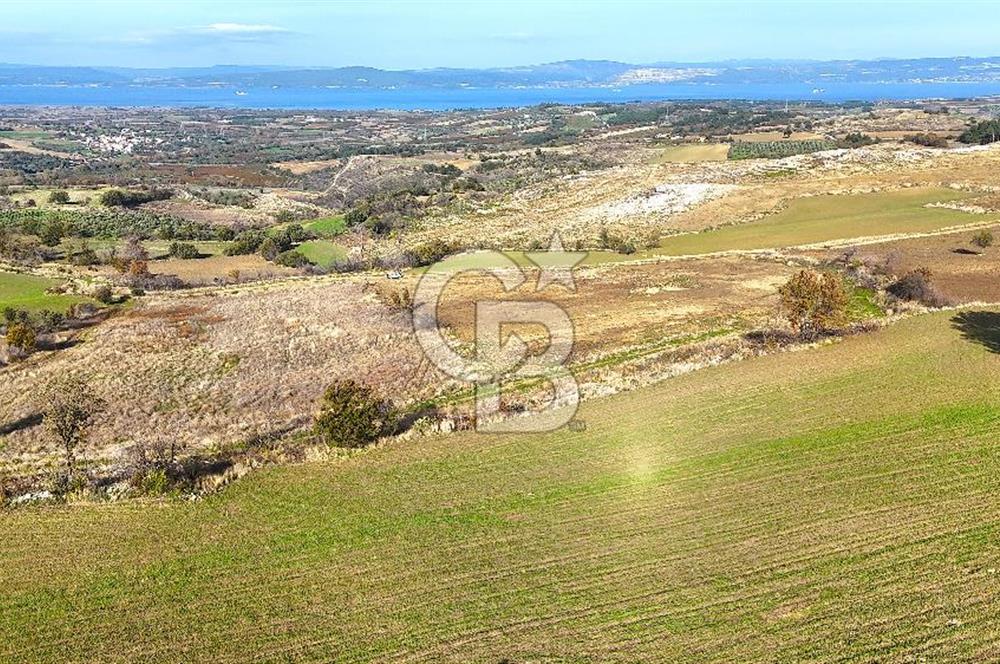 Çanakkale Merkez Kızılkeçilide Boğaz ve Deniz Manzaralı Tarla