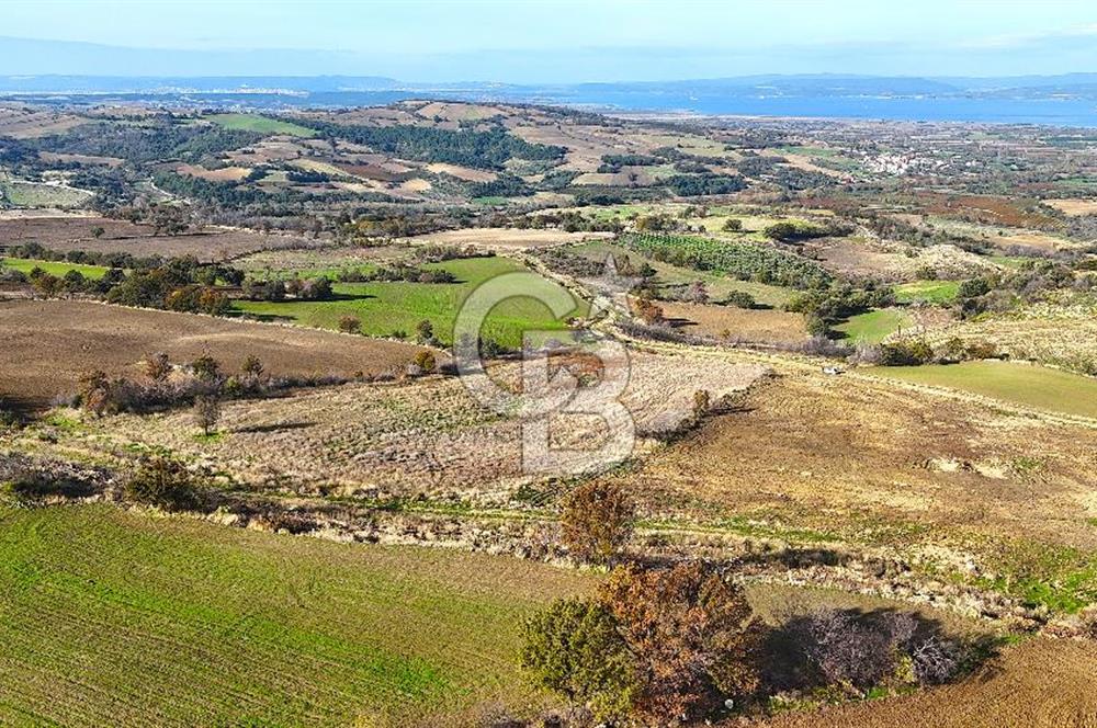 Çanakkale Merkez Kızılkeçilide Boğaz ve Deniz Manzaralı Tarla