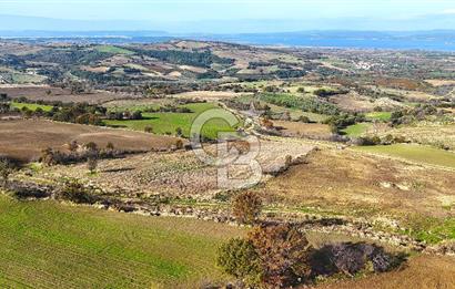 Çanakkale Merkez Kızılkeçilide Boğaz ve Deniz Manzaralı Tarla