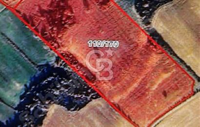  Çanakkale Gelibolu KavaklıTepe Satılık Arsa