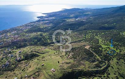 ÇANDARLI 'DA YATIRIM FIRSATI SATILIK 1/2 ARSA