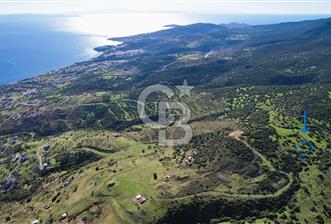 ÇANDARLI 'DA YATIRIM FIRSATI SATILIK 1/2 ARSA - 8 - 317192