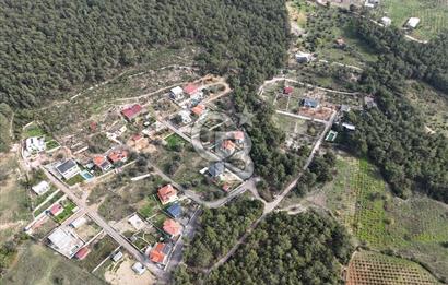 BORNOVA YAKAKÖY 460 M² KÖŞE PARSEL SATILIK HİSSELİ BAĞ&BAHÇE