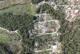 BORNOVA YAKAKÖY 460 M² KÖŞE PARSEL SATILIK HİSSELİ BAĞ&BAHÇE - 1 - 317166