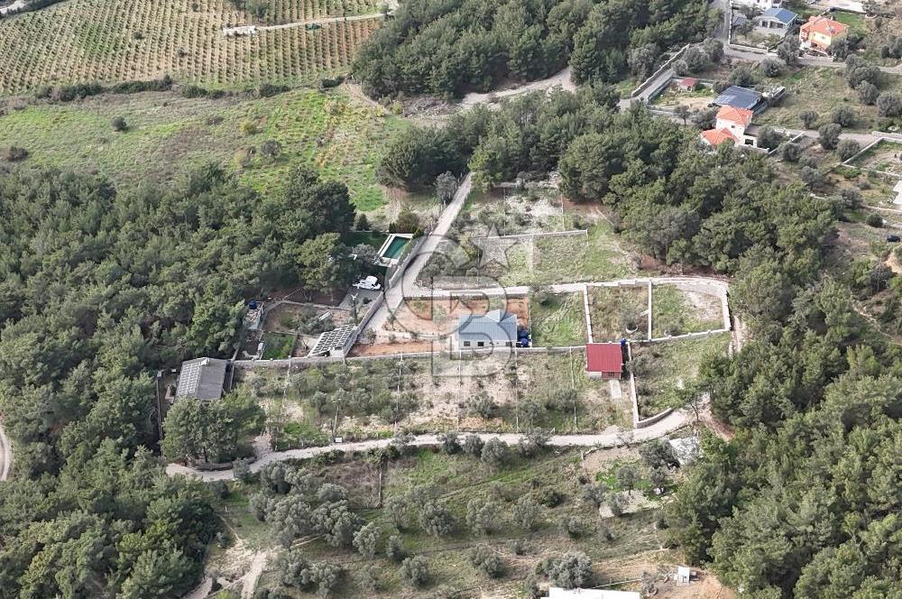 BORNOVA YAKAKÖY 460 M² KÖŞE PARSEL SATILIK HİSSELİ BAĞ&BAHÇE