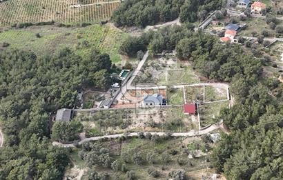 BORNOVA YAKAKÖY 460 M² KÖŞE PARSEL SATILIK HİSSELİ BAĞ&BAHÇE